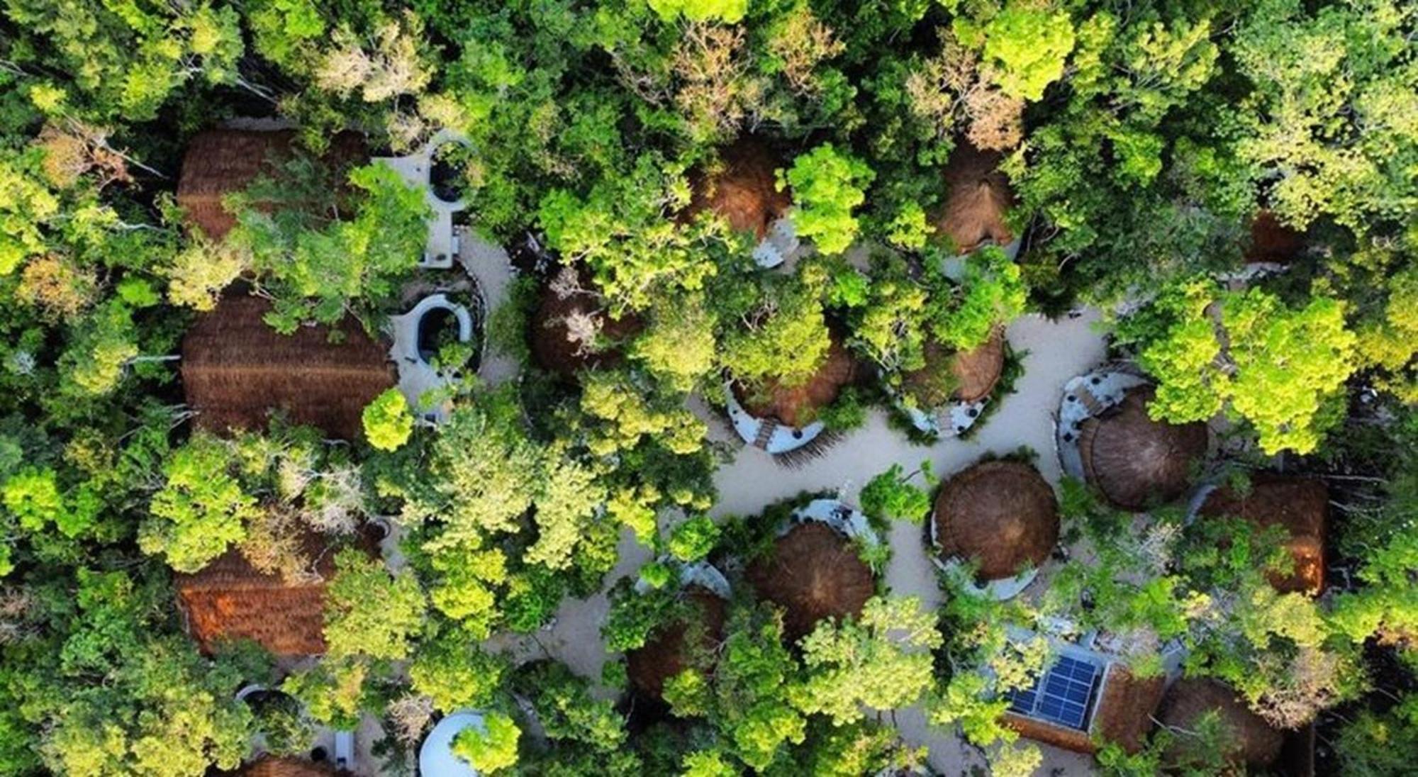 The Yellow Nest Tulum Luaran gambar